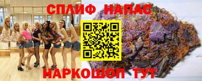 прущие грибы Дубна