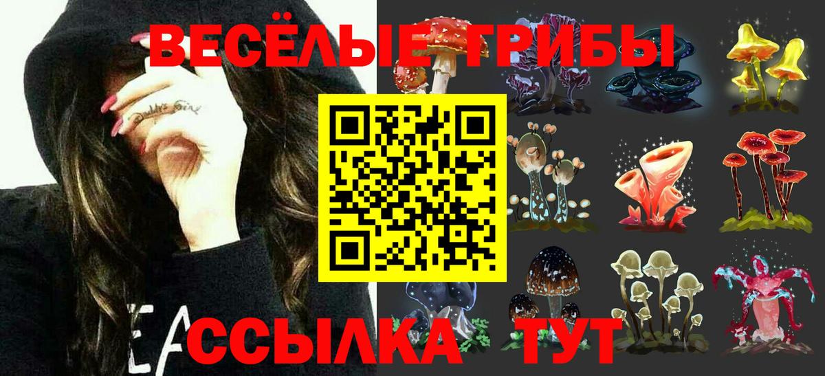Лысьва  Псилоцибиновые грибы Magic Shrooms  Вход с VPN 