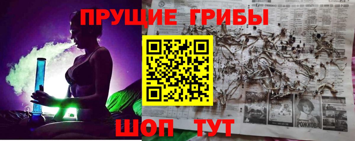 Галлюциногенные грибы GOLDEN TEACHER Лысьва